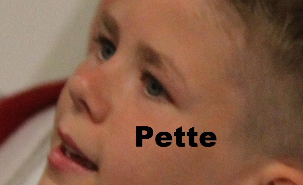 Pette (6)a.jpg