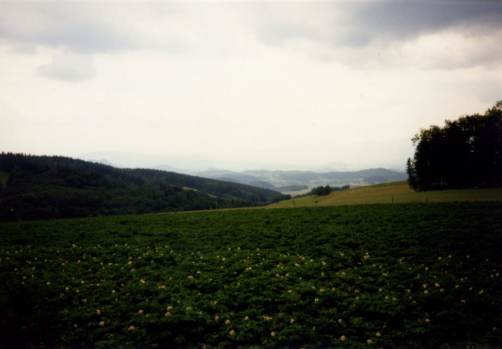 Riesengebirge004.jpg