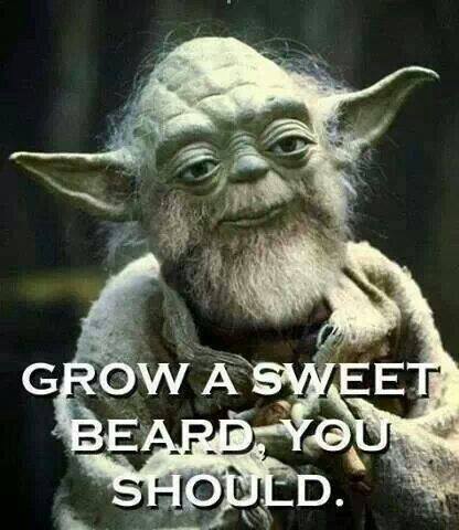 yoda beard.jpg