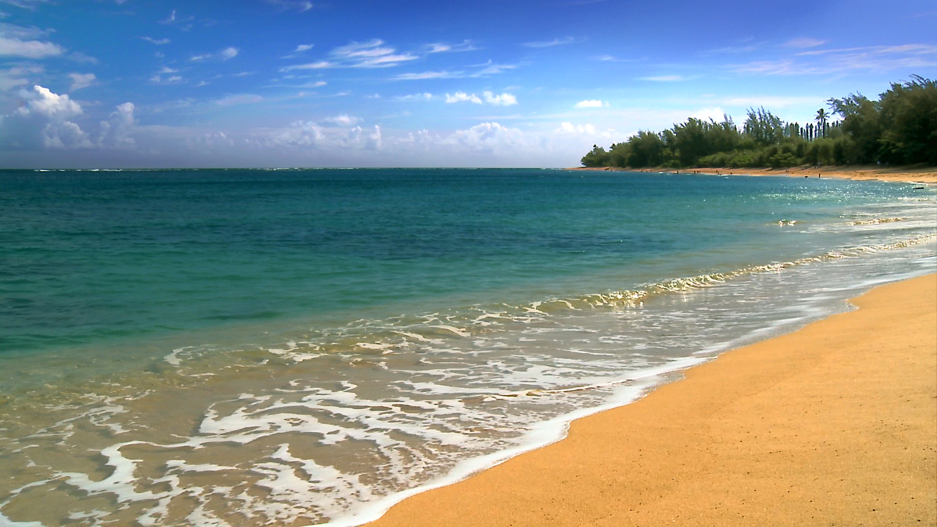 hawaii-beach-holiday-backgrounds