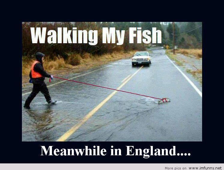 Meanwhile-funny-England.jpg