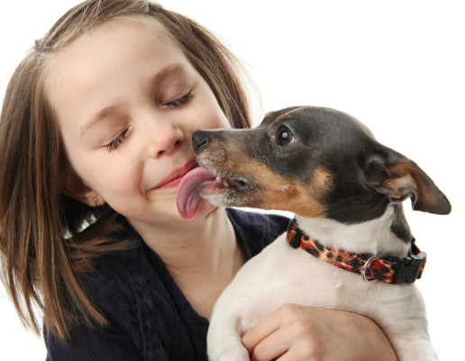 girl-getting-kisses-from-dog-516