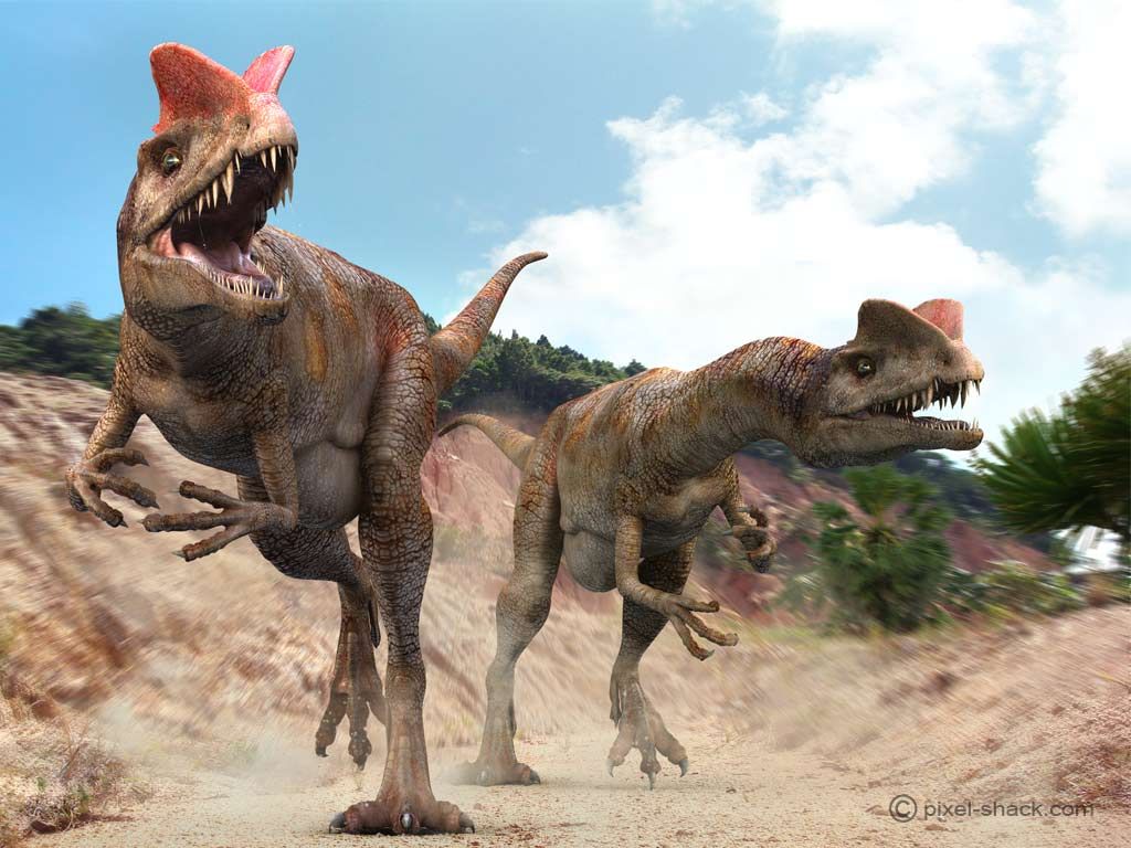 e516711315_Dilophosaurus02.jpg