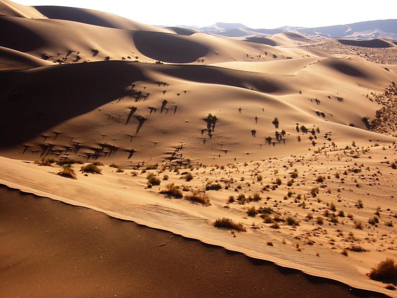 Namib_Desert_Namibia(1).jpg