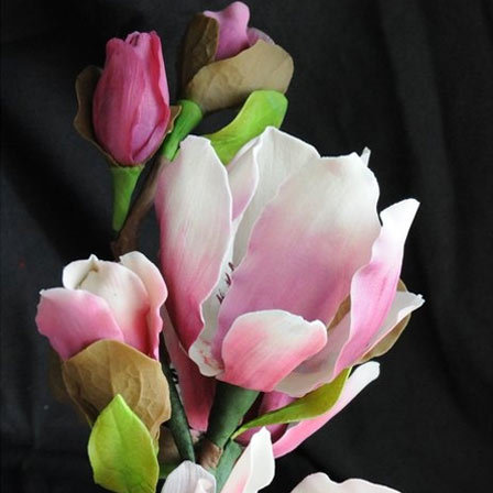magnolia-flowers.jpg