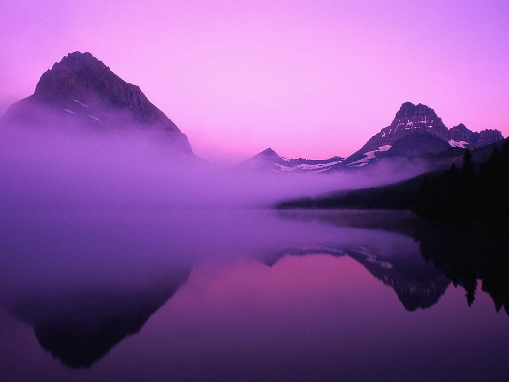 467709-purple-pictures-of-fog.jp