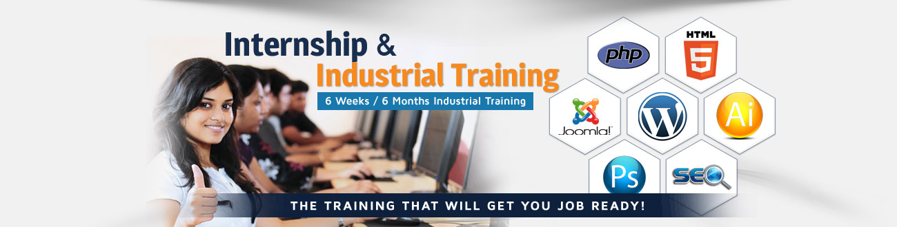 6 months Industrial Training Moh