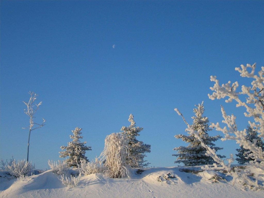 1000-Moonlit Frosty Morning 300d
