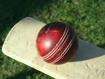 Cricket 1.jpg