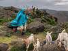 goat-herd-shiikh-somaliland_8056