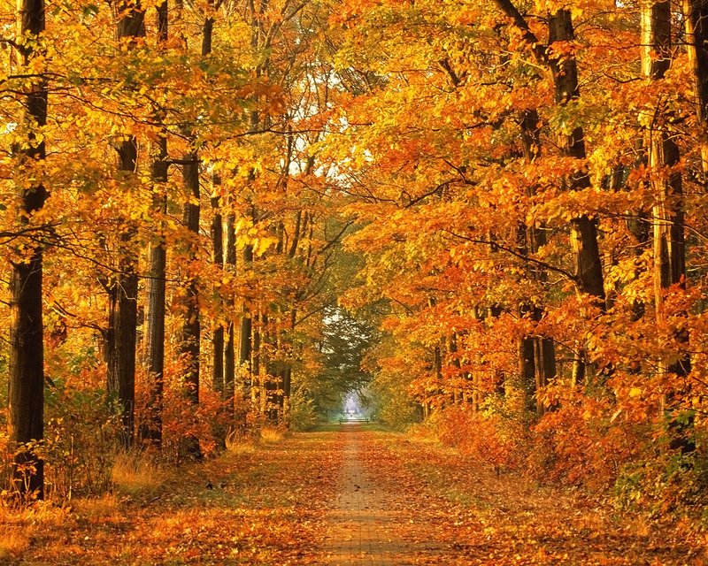 autumn landscape wallpaper photo