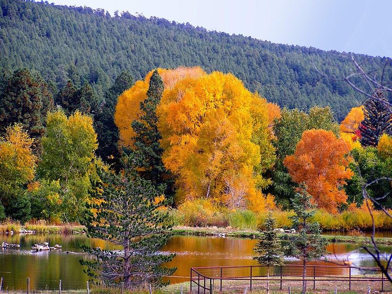autumn landscape wallpaper image