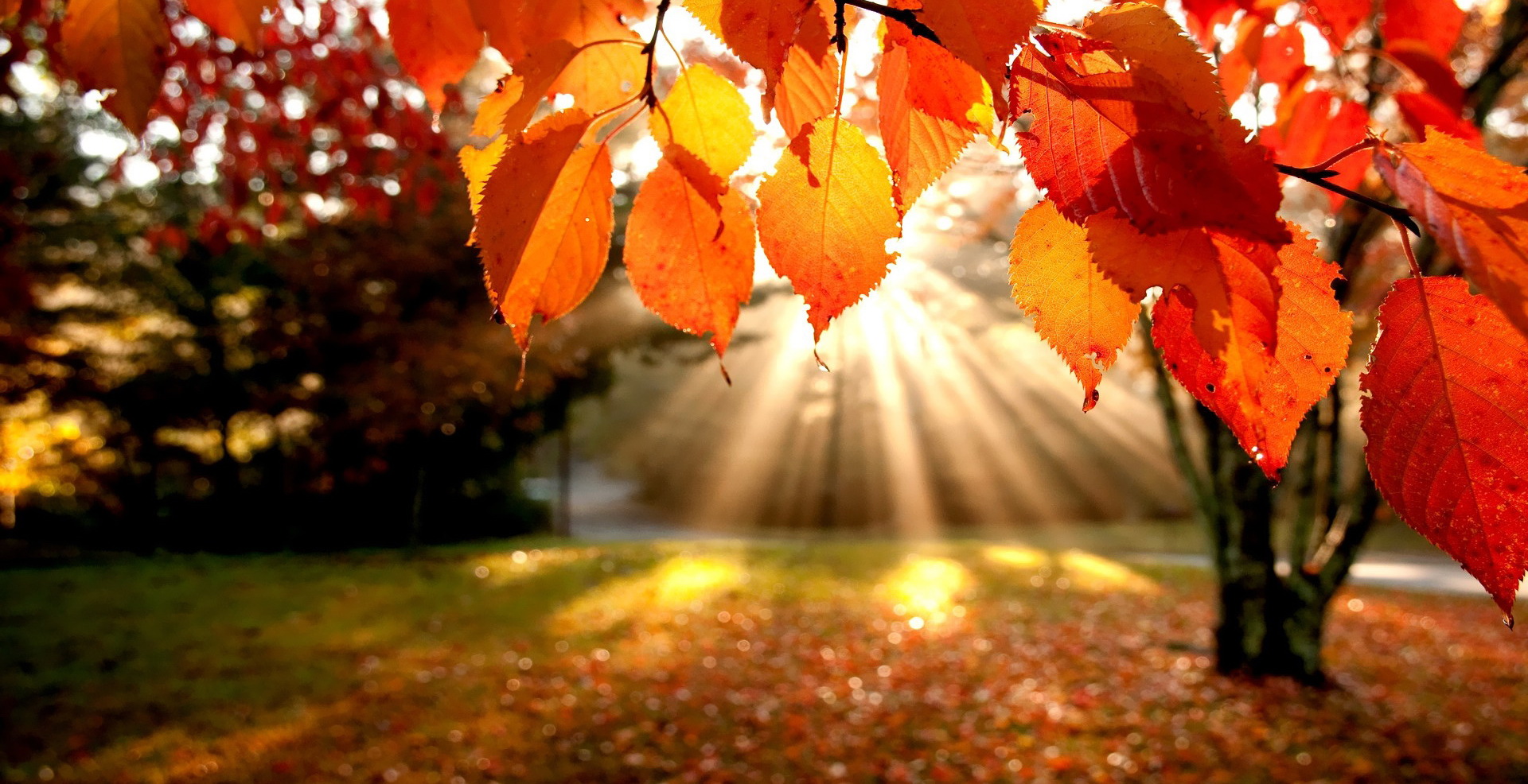 autumn landscape wallpaper photo