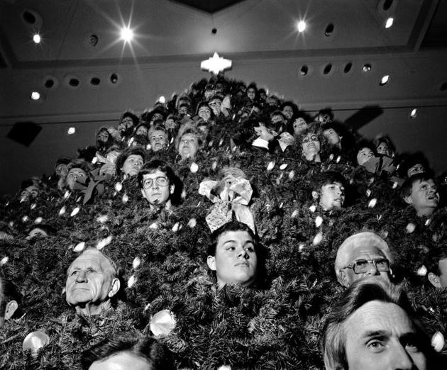 Heads on a Christmas tree.JPG