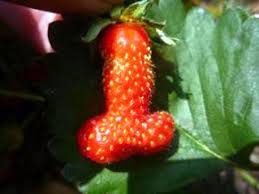 male.strawberries.jpg