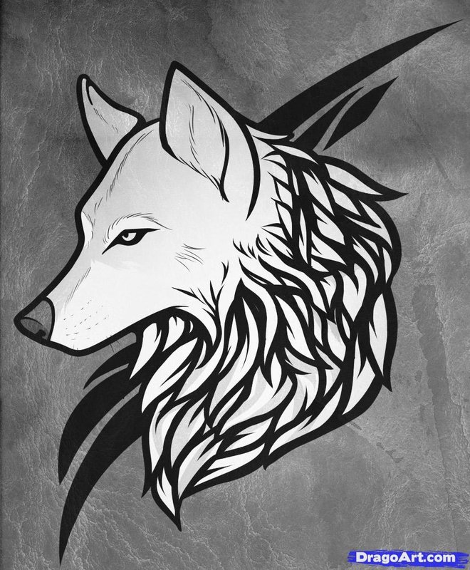 how-to-draw-a-wolf-tattoo-wolf-t
