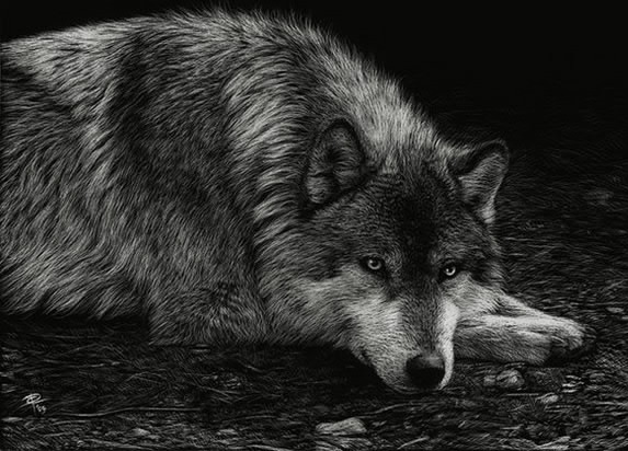 Волк.jpg