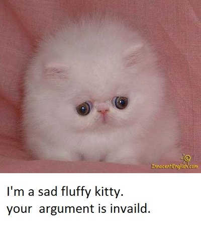 sad_fluffy_kitty_by_masterofwolv
