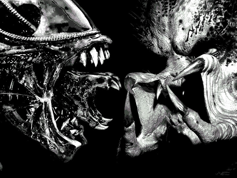 aliens vs predator.jpg