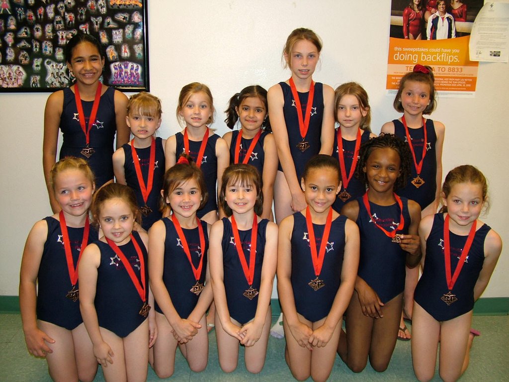 2008 - Lev 3 & 4 Team Gymnasts -