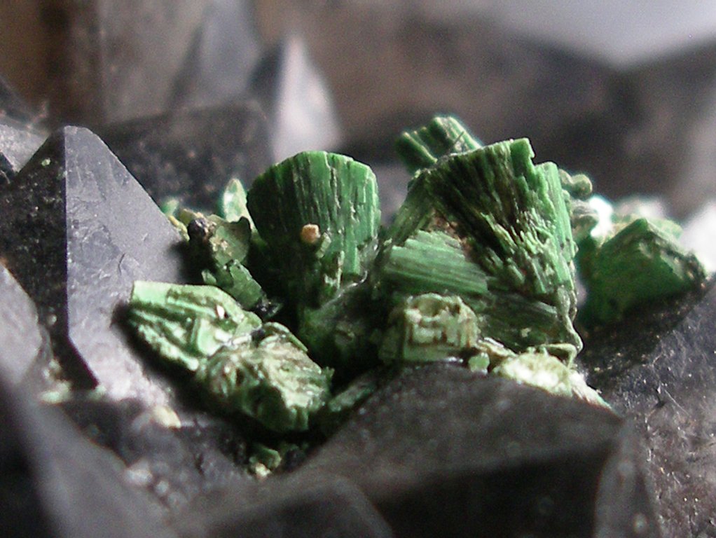 torbernite sur quartz fume-Marga