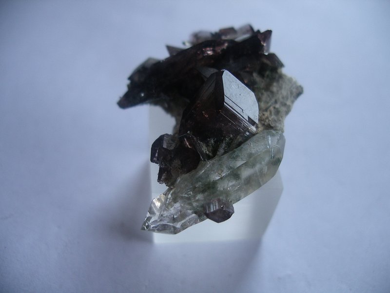 Armentier-axinite sur quartz = 3