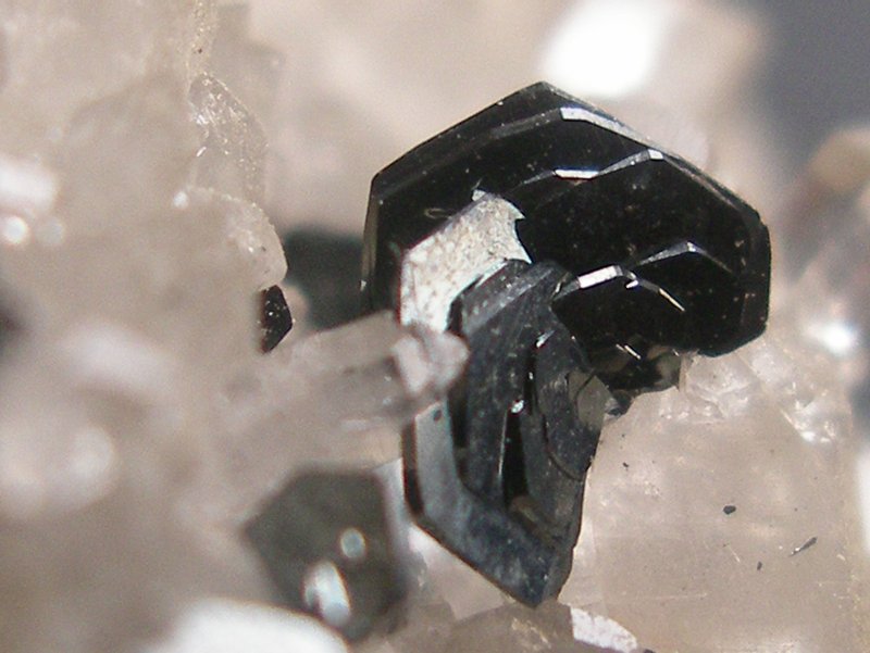 hematite sur quartz L= 5,5 cm -d