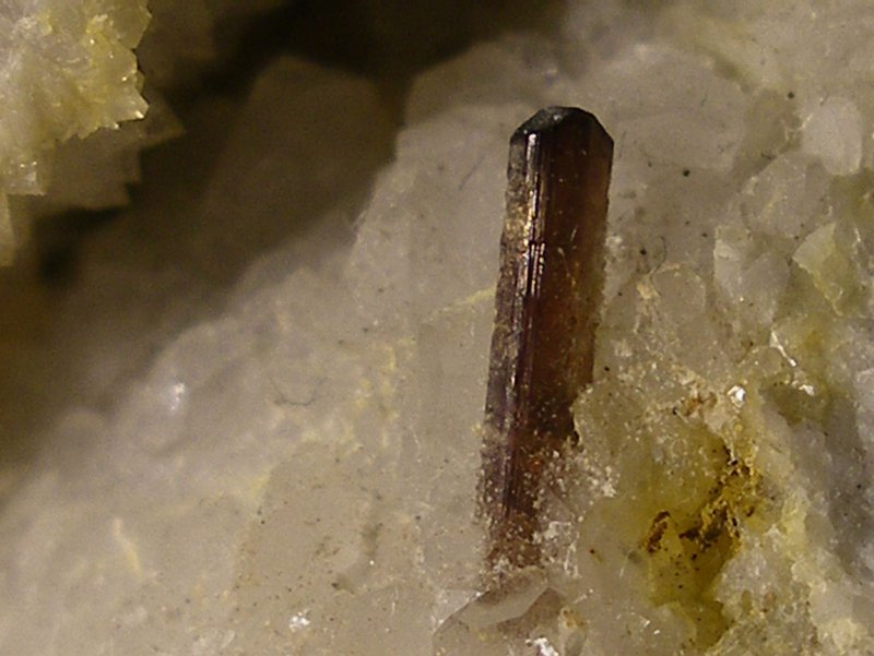 Allanite(cristal 1 cm) Luzenac-A