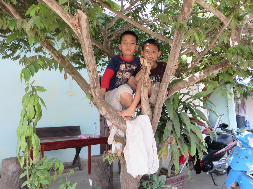 6 Boys in Tree Vang Vieng.JPG