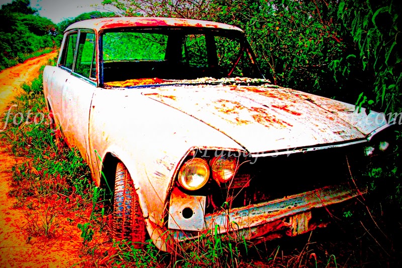 Old Crash Car - Altos de Bucaral