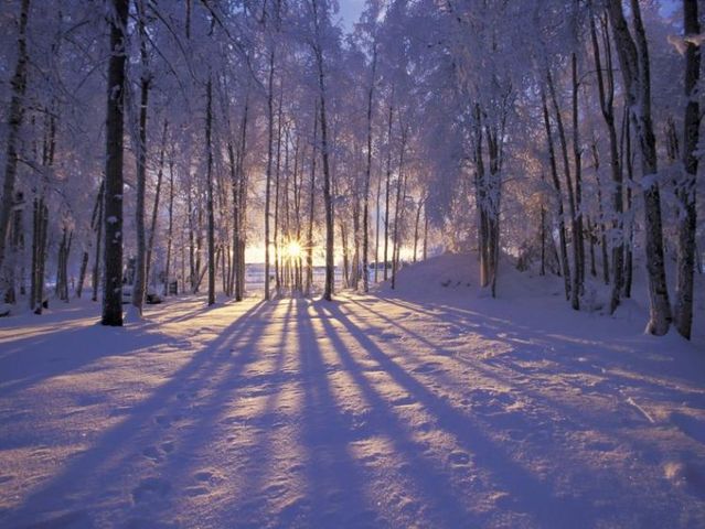 природа зима.jpg