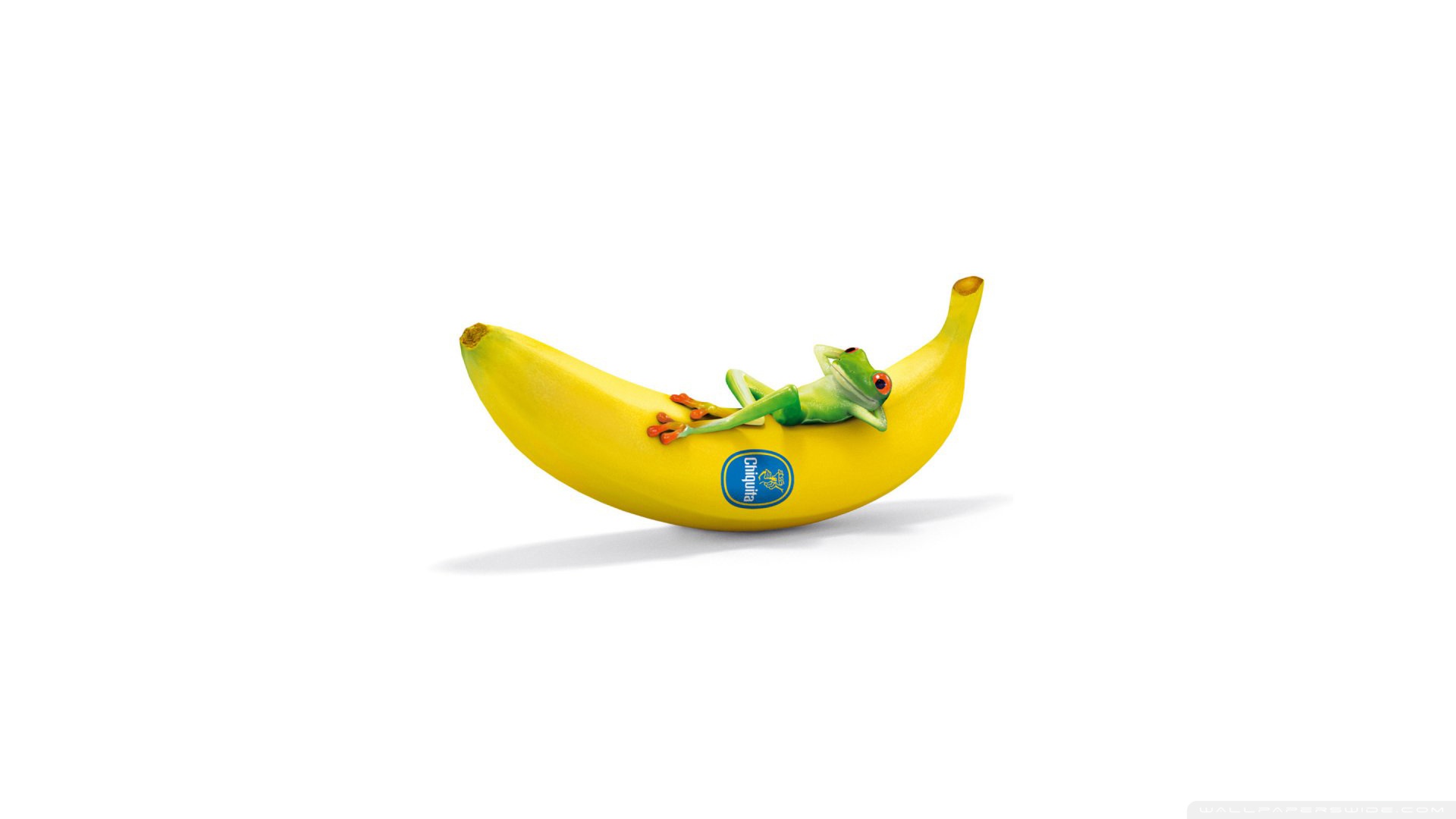 chiquita_with_frog_funny-wallpap