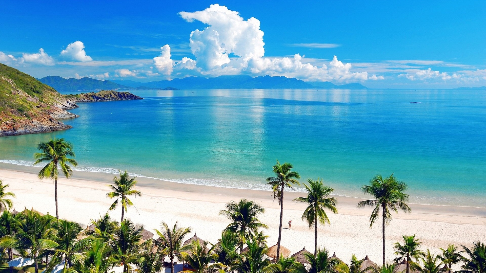 sea-beach-palm-beach-backgrounds