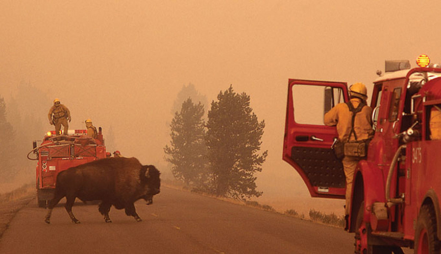ys-1988-fires-bison-road-firetru