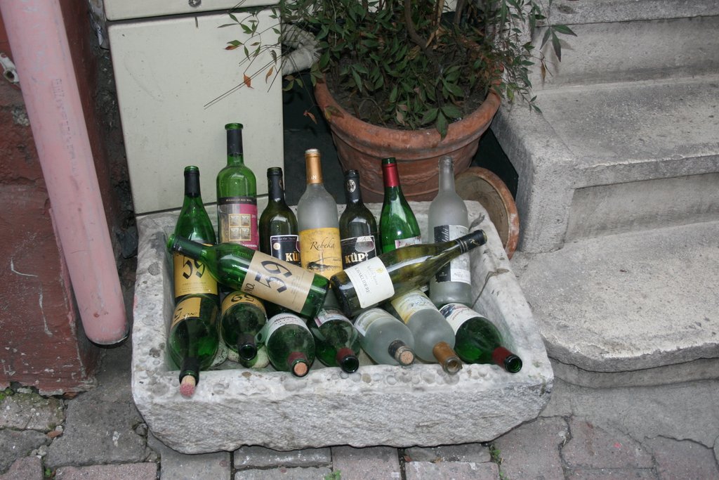 16. Disposal of bottles.jpg