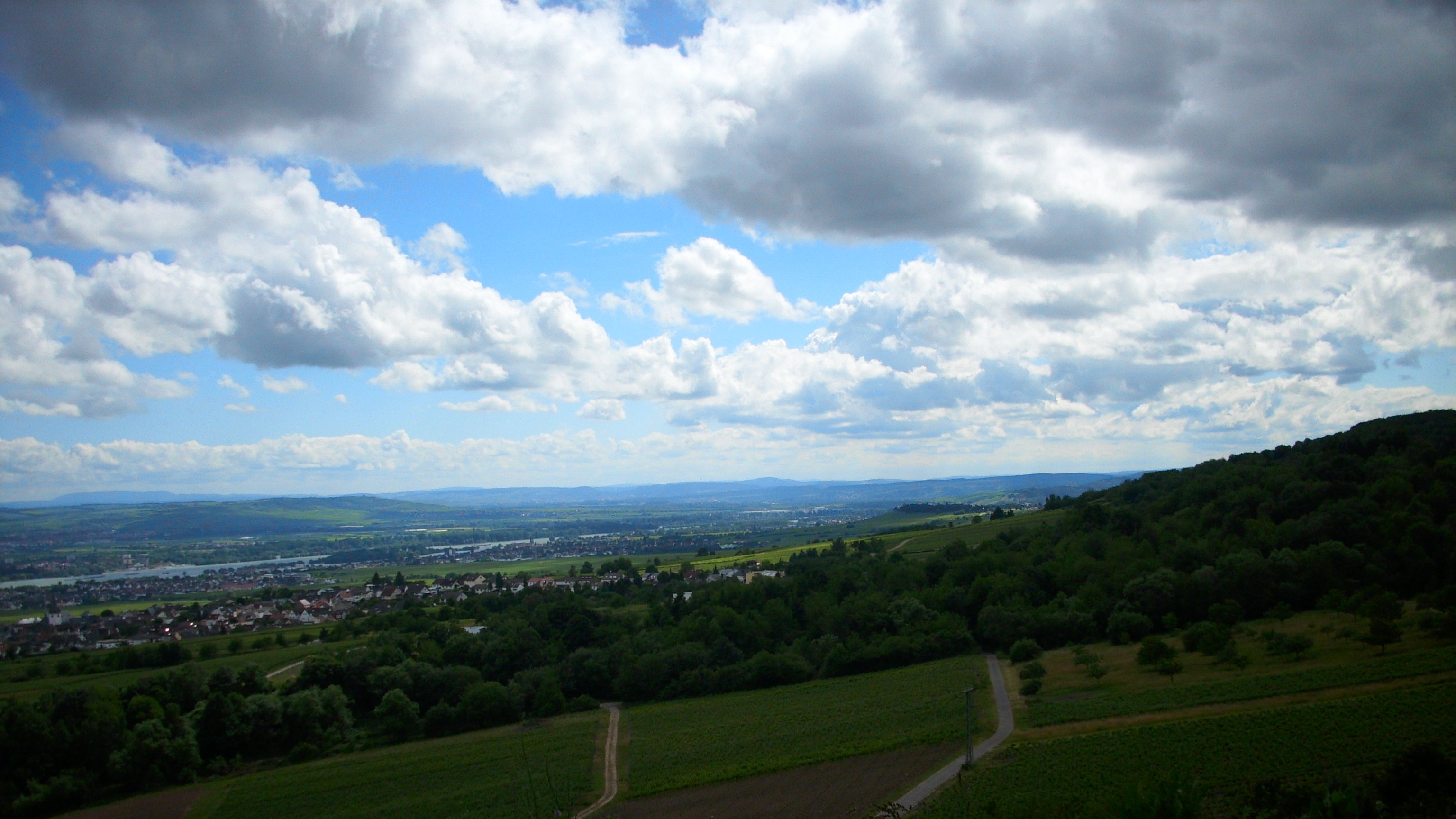 Rhine Valley between Kloster Ebe