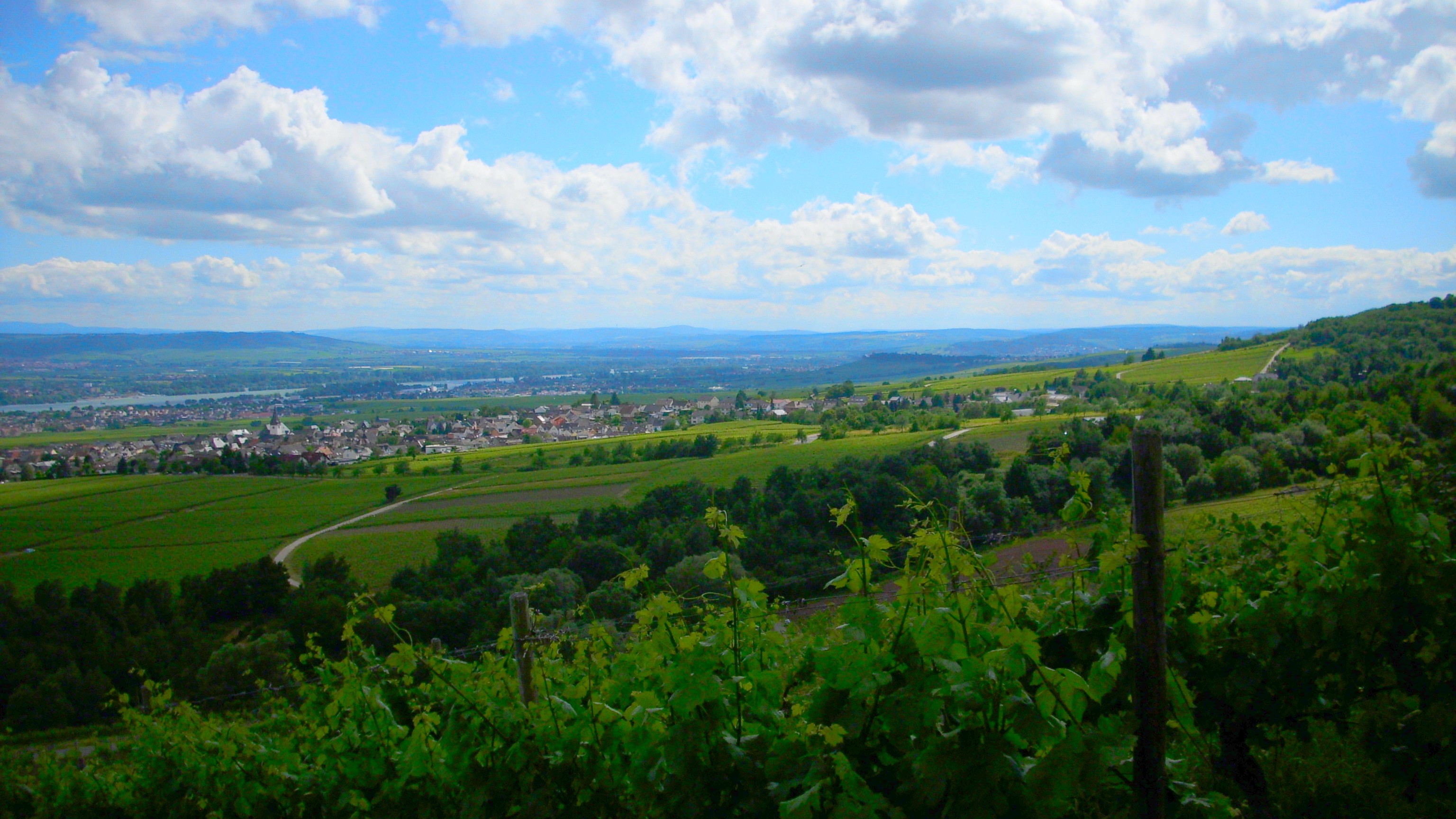 Rhine Valley between Kloster Ebe