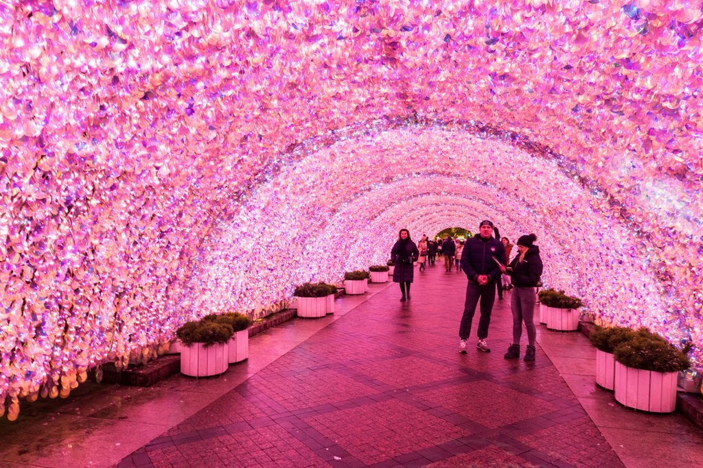 розовый тоннель, Москва, новый год 2021, 2021, 2020, новогодние праздники, куда поехать, куда поехать на новый год, новогодняя Москва, Москва в новый год, путешествие в рождество