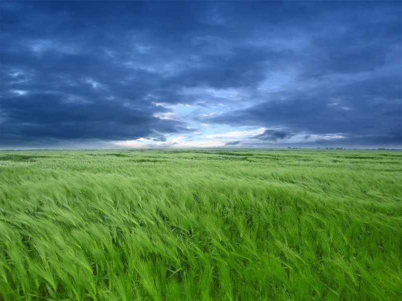 green-fields-1600.jpg