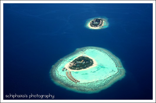 the_maldives-530x349.jpg