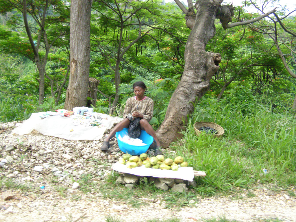 Haitian-vendor.jpg