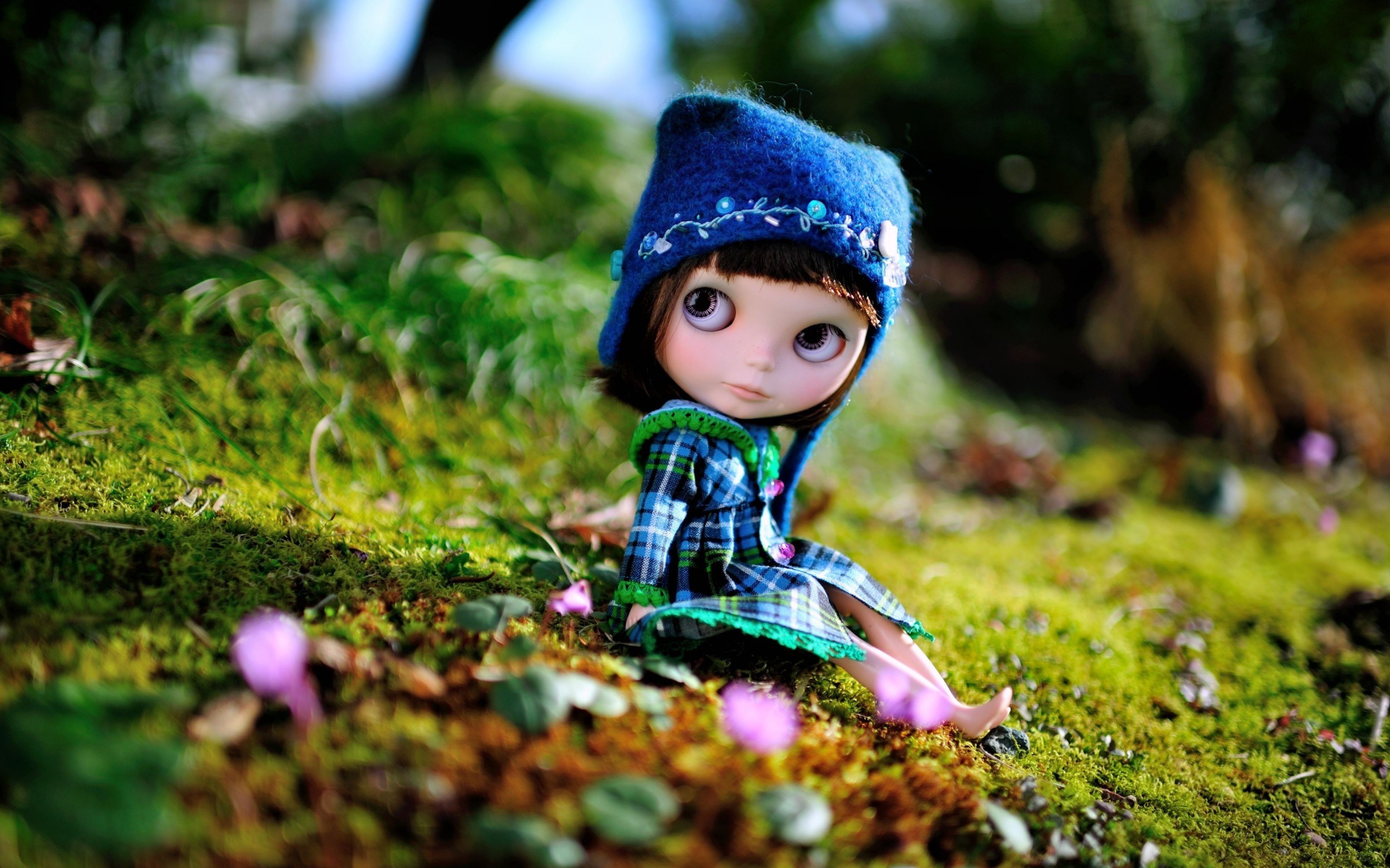 nature_doll_toy_hat_hd_wallpaper
