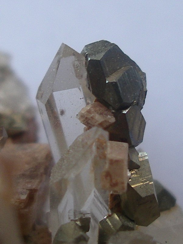 quartz -ankerite et pyrite -7 x